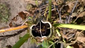 WP_20180718_10_48_09_Pro