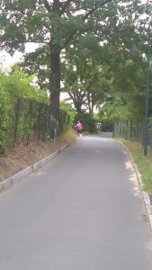 WP_20180722_11_04_50_Pro