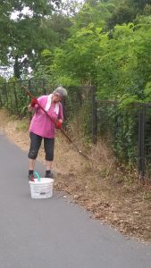 WP_20180722_11_05_38_Pro