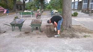 WP_20180815_15_56_49_Pro